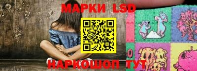 крисы Камышлов