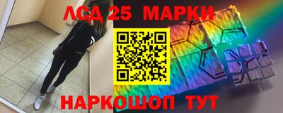 крисы Камышлов