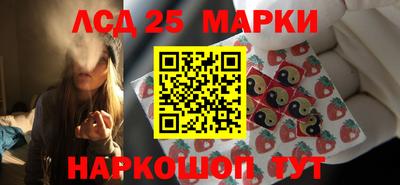 крисы Камышлов