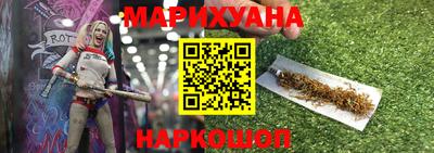 крисы Камышлов