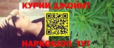 крисы Камышлов