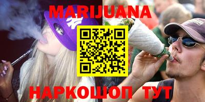крисы Камышлов