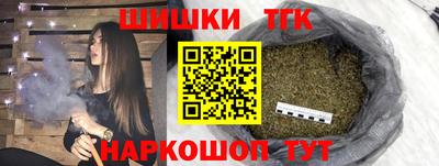 крисы Камышлов