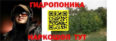 СК Канаш