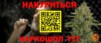 крисы Камышлов