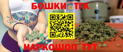 крисы Камышлов