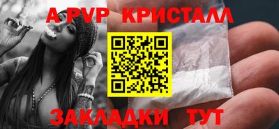 крисы Камышлов