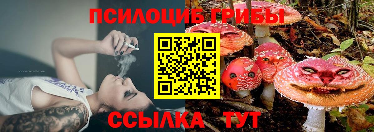 Зерноград  Галлюциногенные грибы GOLDEN TEACHER  Вход с VPN 